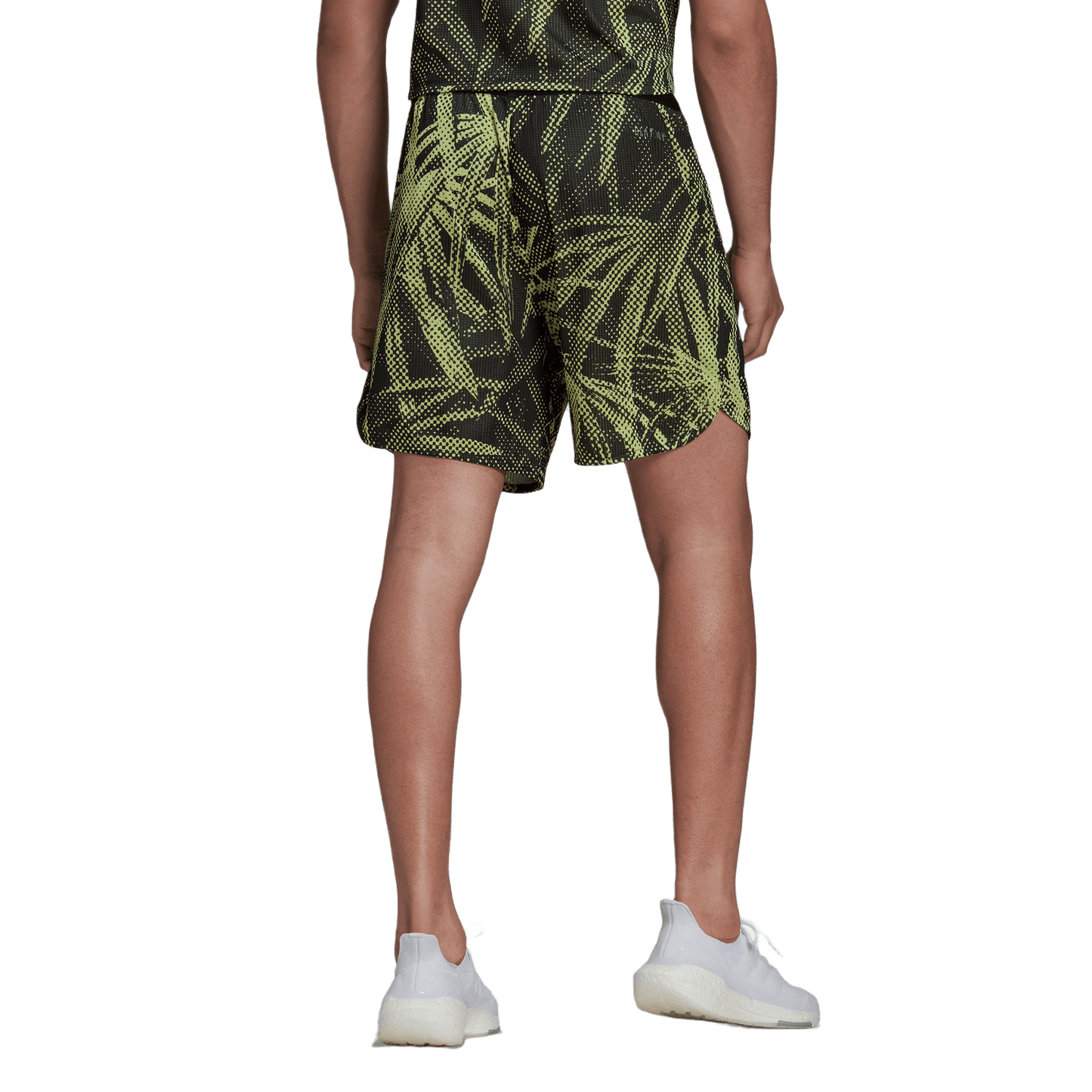 SHORT ADIDAS D4T GFX LOD4P-HC4259