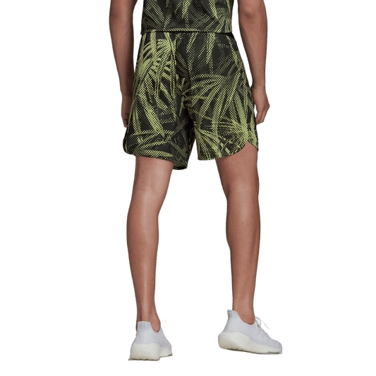 SHORT ADIDAS D4T GFX LOD4P-HC4259